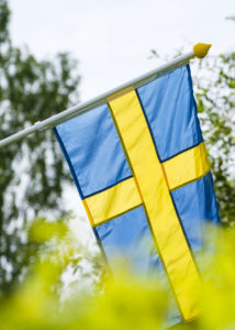 Svenska flaggan bakom grönskande buskar