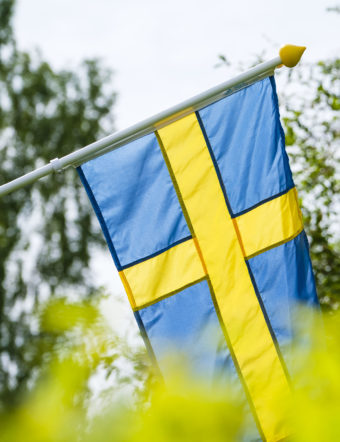Svenska flaggan bakom grönskande buskar